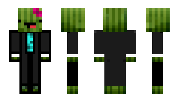 Minecraft skin JEANNEBEAN