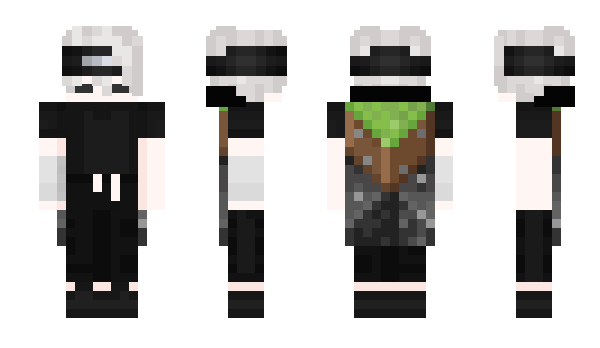 Minecraft skin _1Pro