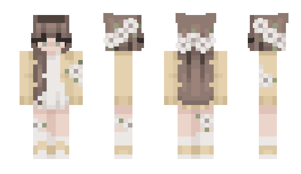 Minecraft skin NanoLupin