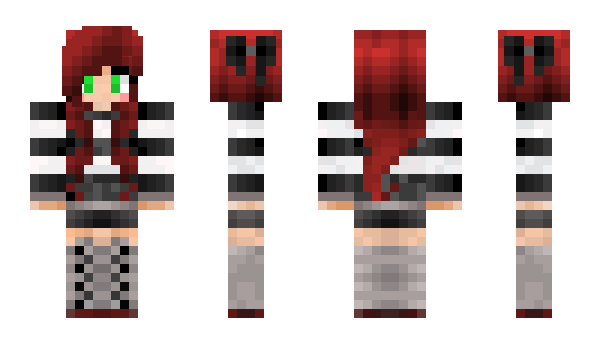 Minecraft skin ZHolman