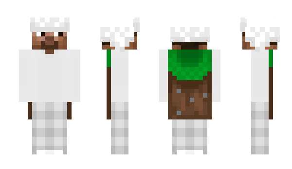 Minecraft skin rlqc