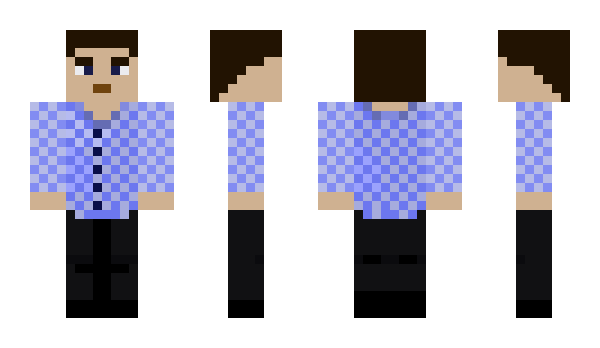 Minecraft skin DelingerW