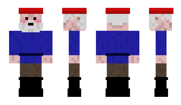 Minecraft skin radviliada