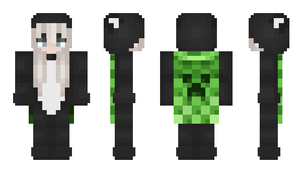 Minecraft skin salahderpe