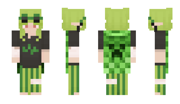 Minecraft skin shmatochek