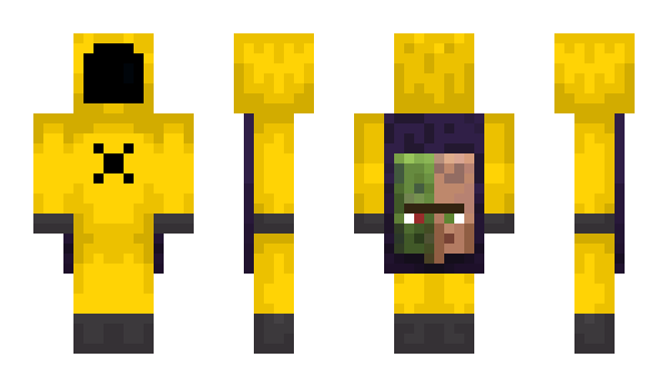 Minecraft skin 8BitLM