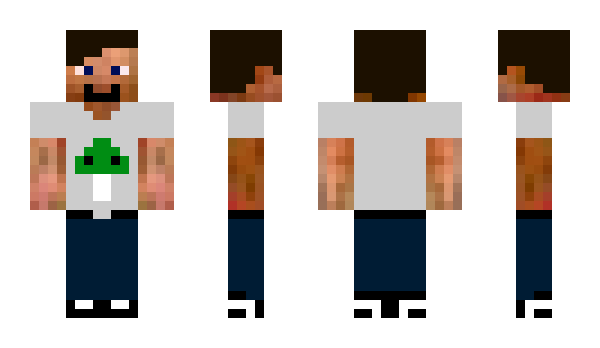 Minecraft skin zhacc