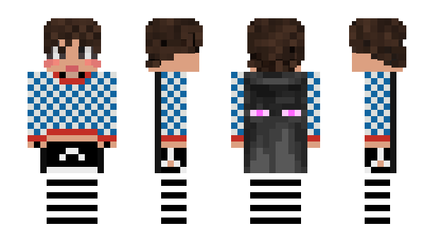 Minecraft skin CommonplaceHuman