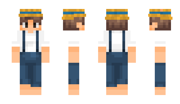 Minecraft skin TeamBjelke