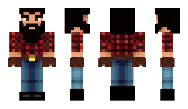 Minecraft skin RobinS