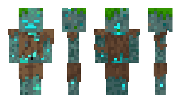 Minecraft skin IRash