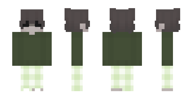 Minecraft skin Camfo