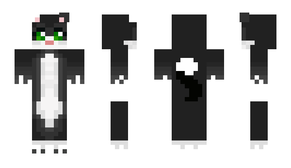 Minecraft skin Aykia