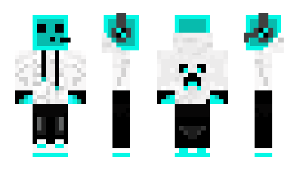 Minecraft skin Toot6