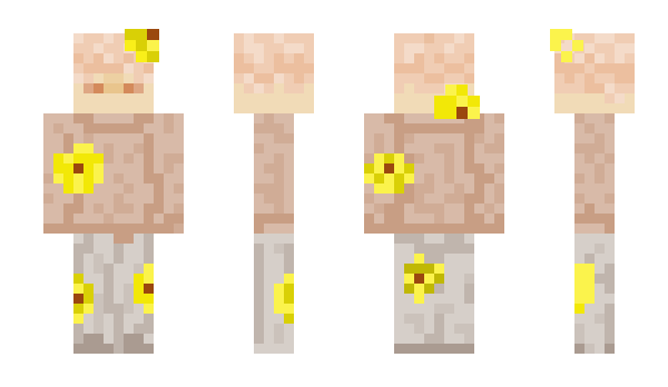 Minecraft skin Erella