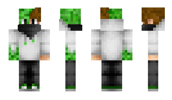 Minecraft skin swiftgamer360