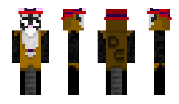 Minecraft skin DirtCat