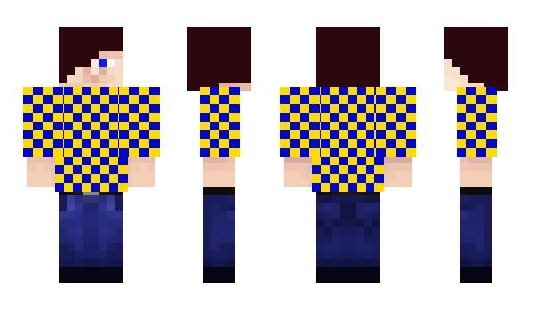 Minecraft skin PlTO