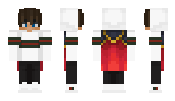 Minecraft skin shem24