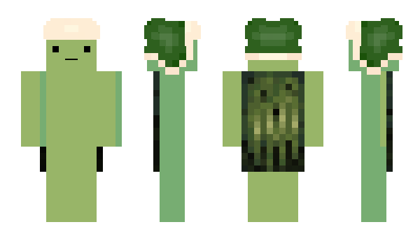 Minecraft skin etoverak
