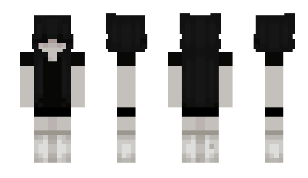 Minecraft skin Ptveile