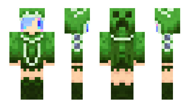 Minecraft skin AGRS