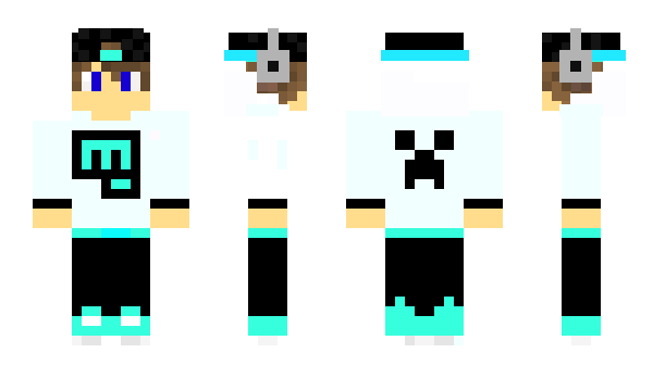 Minecraft skin Ddidi