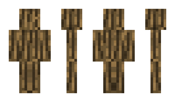 Minecraft skin blindiak