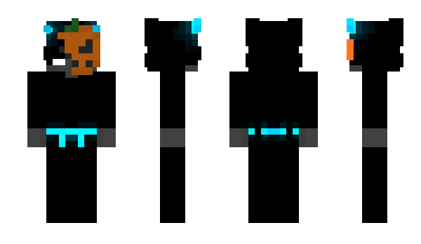 Minecraft скин по нику PaniPani