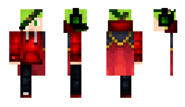 Minecraft skin Den_Nagany