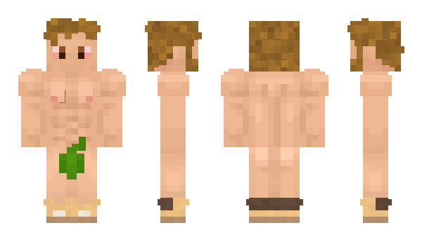 Minecraft skin Findo