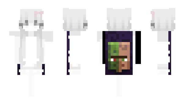 Minecraft skin TelAvivValid