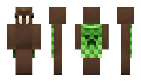 Minecraft skin Welrus