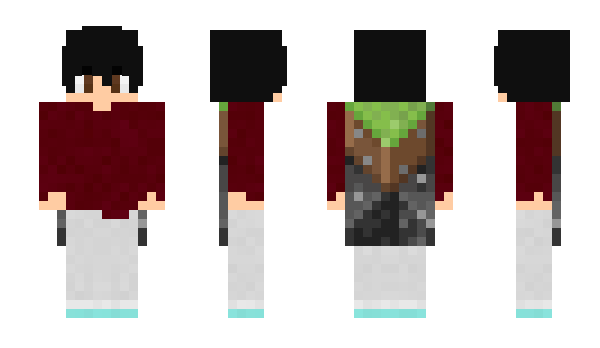 Minecraft skin Tanzeemroks