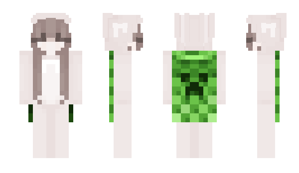 Minecraft skin torlet