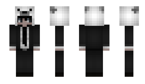 Minecraft skin AvaIonn