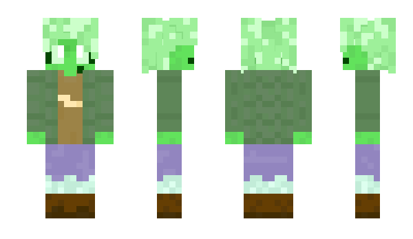 Minecraft скин по нику Plimki