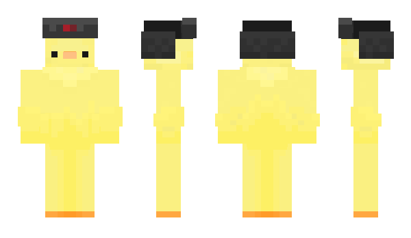 Minecraft skin Duckor