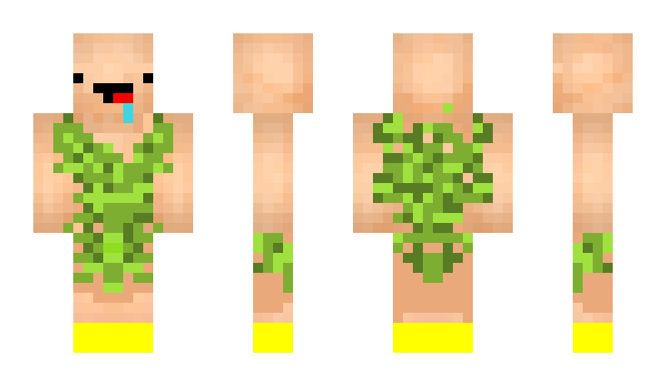 Minecraft skin Goldy_Socks