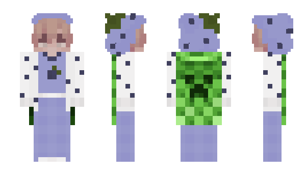 Minecraft skin Fruitzs