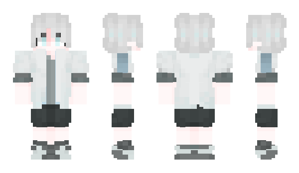 Minecraft skin flugor