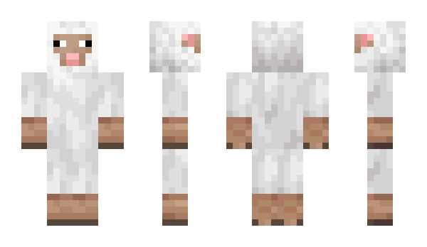 Minecraft skin Fryzx