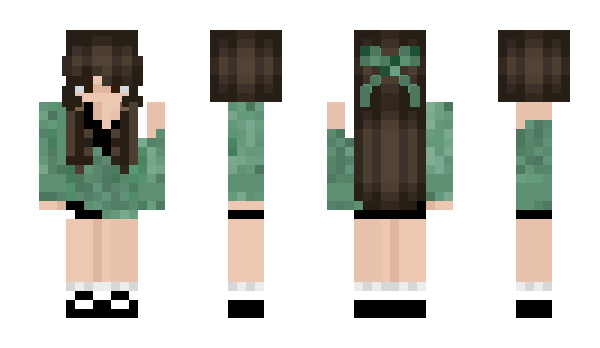 Minecraft skin anixel