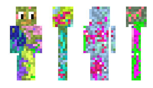 Minecraft skin Pully