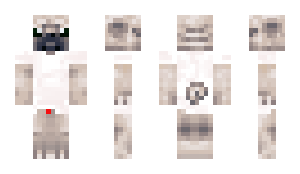 Minecraft skin Jerbi