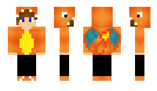 Minecraft skin PokeMaster591_