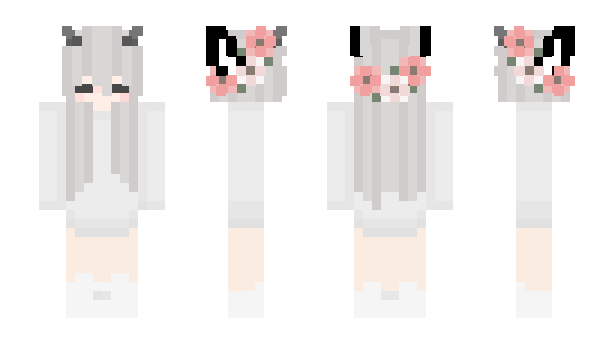 Minecraft skin hausdachs