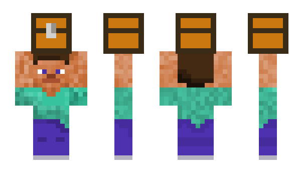 Minecraft skin Ohgy