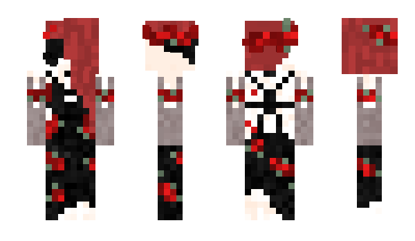 Minecraft skin Superbja