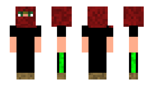 Minecraft скин по нику Bcic